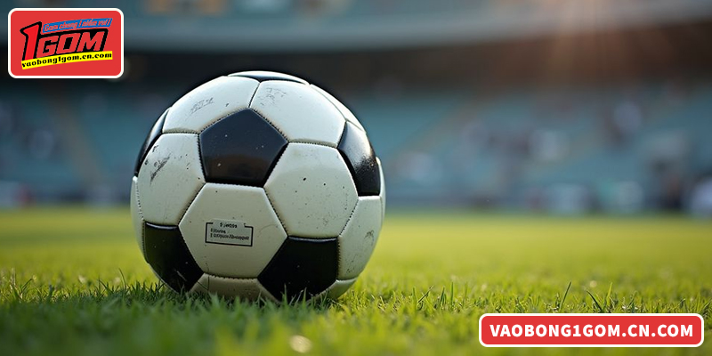 Chi tiết cách thức xem thông tin trận đấu chuyên sâu