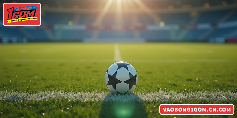 Giới thiệu về các chương trình khuyến mãi