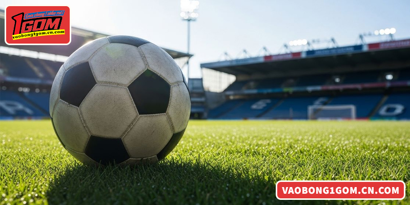 Lý do nền tảng 1GOM được đông đảo người chơi yêu thích